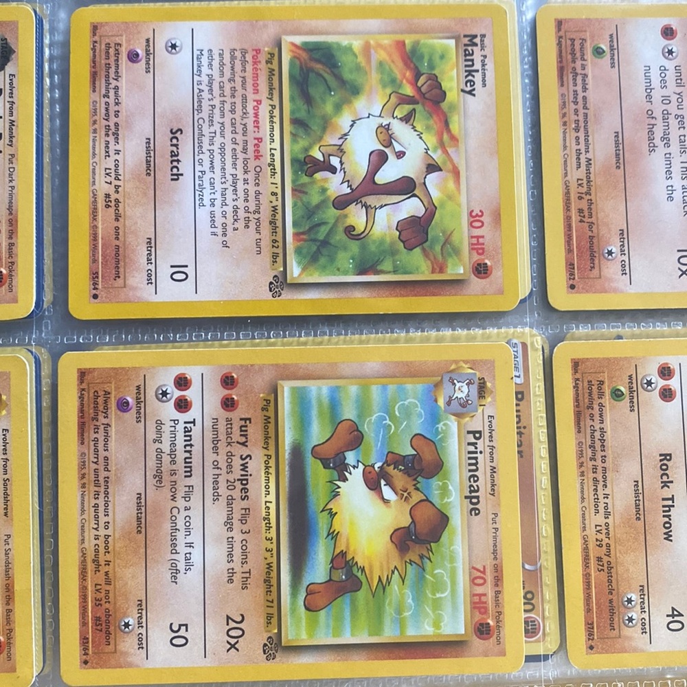 Wild  collection